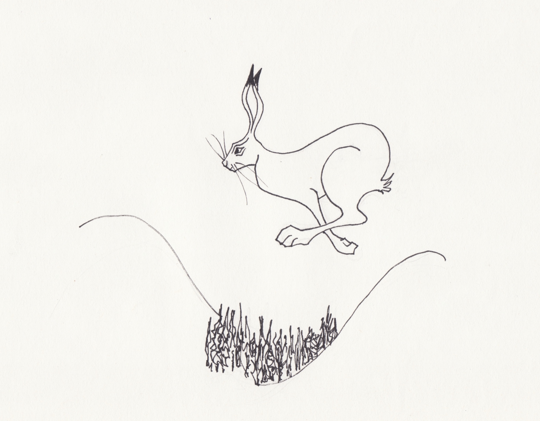 Pen-ink